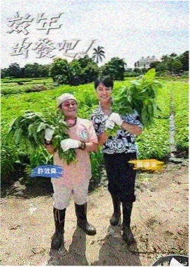 新南国影院排片第二课封面